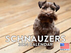 Schnauzer Dog Lovers Breeders Gift 2024 Wall Calendar
