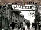 New Listing2021 Historic Autographs 1945 The End of the War Auschwitz Liberated #10 TW31408