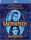 Labyrinth - DVD Dennis Lee