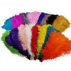 Factory Direct Sale14-16Inch 35-40CM Standard Ostrich Feathers for Jewelry Craft