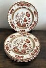 SPODE -  INDIAN TREE   * 5 DINNER PLATES * NEW  CONDITION * England * 2/959 B