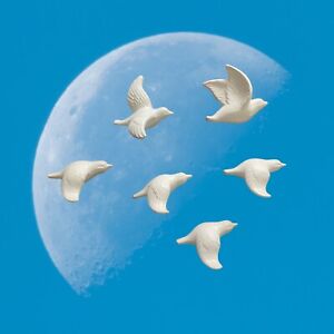 Birds In Flight Wall Art Ceramic Sparrows Swallows Dove Wall Mounted Decor