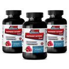 Raspberry Ketones Lean 1200mg - Weight Loss w/ Mango Extract Pills 3B