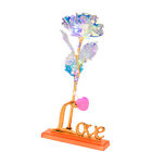 Enchanted Forever Rose Flower In Glass Dome LED Light Valentine's Day Gift Decor