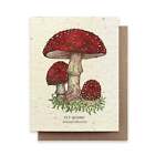 Fly Agaric Mushroom Plantable Card