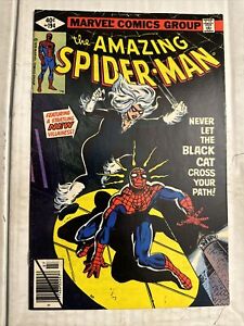 Amazing Spider-Man 194 FN/VF Marvel 1979 1st Appearance of Black Cat