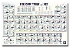 PERIODIC TABLE OF SEX POSTER 58 Positions RARE 24X36