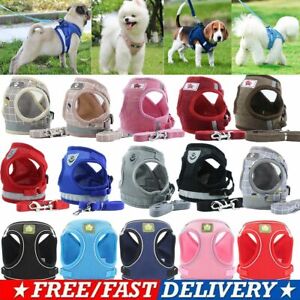 Mesh Padded Soft Puppy Pet Dog Harness Breathable Comfortable Colors XS S M L XL