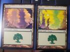 magic the gathering FOREST 2 CARD
