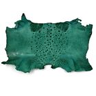 Bufo Marinus Cane Toad Skin Taxidermy Dyed Leather Glossy Teal Green