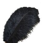 Ostrich Feathers Plumes Crafts DIY Costume Headwear Clothes Carnival Decorations