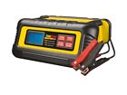 EverStart 40 amp, automatic battery, charger, and maintainer