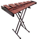37 Key Professional Chromatic Xylophone, Metal Stand, Carrying Bag, 2 Mallets