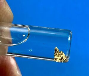 Alaskan-Yukon BC Gold Rush Natural Gold Nugget 0.10 Grams Genuine 