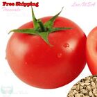 Beefsteak Tomato Seeds| Non-GMO, Vegetable Seeds