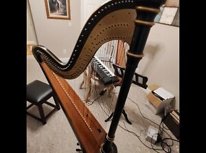 harp musical instruments, harp, pedal harp, musical instrument, instrument