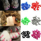 100pcs Cat Pet Nail Caps Soft Claw Adhesive Covers Dog Paws Protector Kitten Toy