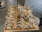 Lot of 34 Natural Iowa Whitetail Deer Antlers (Horn, Craft, Taxidermy) 29Lb