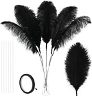 Black Large Ostrich Feathers, 10Pcs Making Kit 34