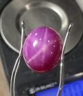 LARGE LINDE STAR RUBY SHARP STAR 12.7mm X 11mm 7.95ct OVAL