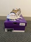 Nike SB Dunk low Premium “City Of Style” - FN5880-001 In Hand Size 8.5