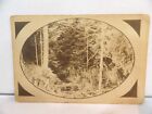 Coon Rapids IA Woods Scene Vintage Postcard 1910