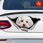 Cute Maltese Car Sticker Pet Dog Car Decoration  Waterproof Car Styling 3Pcs