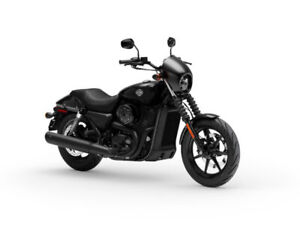 2019 Harley-Davidson® XG500 - Street® 500
