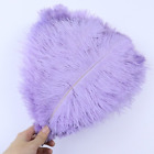10pcs/lot White Ostrich Feathers Home Decoration Ostrich Plumes Table Crafts