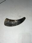 Small Cow Horn 7”L