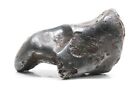 Sikhote-Alin Oriented Iron Meteorite Individual: 9.8g