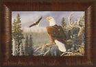 MAJESTIC PAIR by Terry Doughty 11x15 Eagles Eagle Soaring Bird FRAMED WALL ART