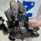 2.72LB  Natural Beautiful Black Quartz Crystal Cluster Mineral Specimen.