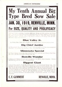 1918 American Swineherd Hog Sales Gummert Renville MN ~ Trafford Mt Vernon IN