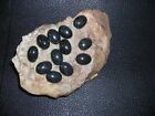vintage ONYX glass cabochon stone lot of  12 pcs [ 18 x 13 mm] new old stock NOS