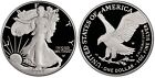 American Silver Eagle 2022 W 1 Oz Silver Proof Coin New 22EA In Capsule With COA