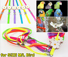 Adjustable Parrot Bird Harness Leash Multicolor Light Soft Fashion S-L