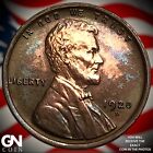 1920 D Lincoln Cent Wheat Penny  Q8982