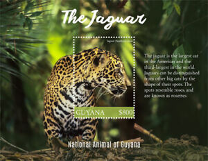 Guyana 2017 - Jaguar - National Animal of Guyana - Souvenir Stamp Sheet - MNH