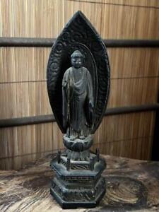 BUDDHA AMIDA NYORAI AMITABHA Wooden Statue 8.4 inch 19TH C EDO Japanese Antique