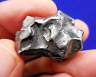 FANTASTIC 31.14 gram - SIKHOTE ALIN IRON METEORITE - w/Fusion Crust- 1947 Fall