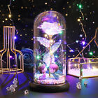 Enchanted Crystal Galaxy Rose Flower In Dome Glass LED Night Light Uniques Gifts