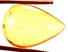 12.30 Cts. Natural Genuine Old Baltic Amber Untreated Certified Gemstone