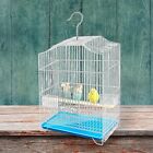 Lightweight 21”x13” Fold Up Bird Cage Parakeet Canary Finch Portable House +Cups