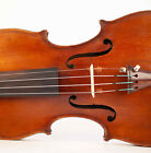 old fine violin P. Testore violon alte geige viola italian violino 小提琴 바이올린 4/4