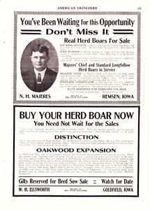 1918 American Swineherd Hog Sales ~ Remsen Goldfield Archer Correctionville IA