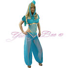 Princess Costume Women Fancy Dress Belly Dancer Arabian Bollywood Size 6-18 Sexy