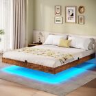 Queen Size Floating Bed Frame with LED Lights Metal Platform Bed Easy Assembly