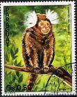 Paraguay Fauna rare Mono Titi Monkey stamp 1976
