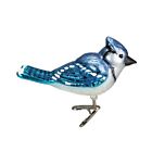 Old World Christmas Glass Blown Ornament, Bright Blue Jay (With OWC Gift Box)